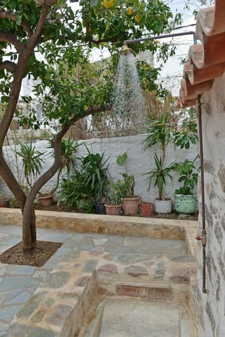 Sterna Apartment هيدرا المظهر الخارجي الصورة